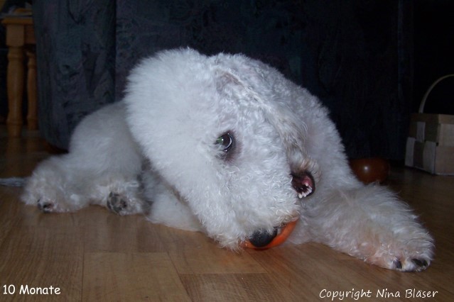 100_7438 - Kopie.jpg